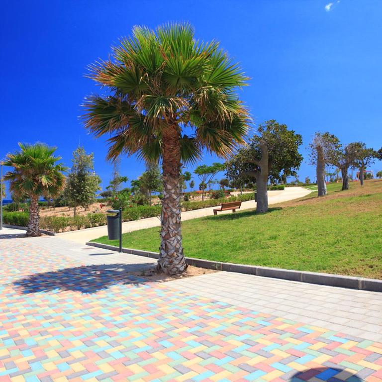 Penthouse 2 bedrooms in Mil Palmeras - Apartamento - 45