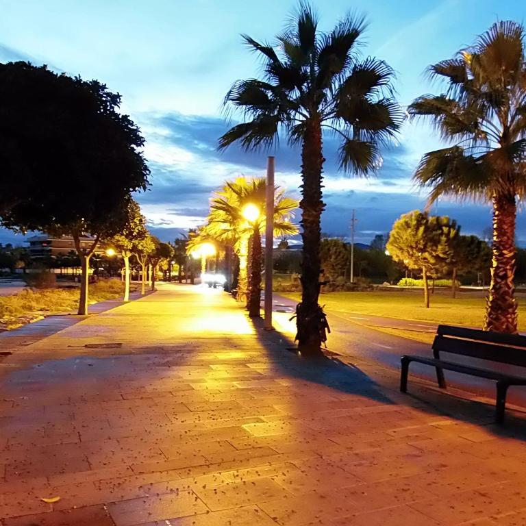 Cozzy flat in a quiet and nice area / Acogedor apartamento en zona tranquila y agradable - Apartamento - 13