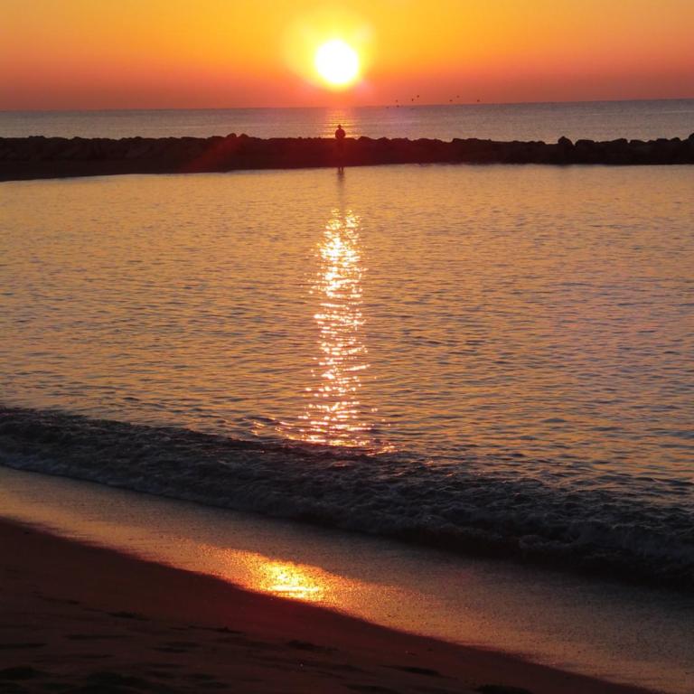 Cozzy flat in a quiet and nice area / Acogedor apartamento en zona tranquila y agradable - Apartamento - 17