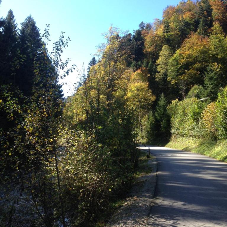 Ferienhütte in Ruhpolding - Ferienhaus - 8