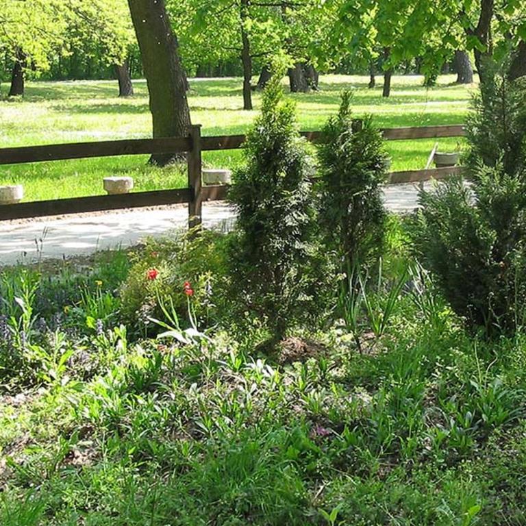 Principessa Apartment - Apartman sa Terasom - 36