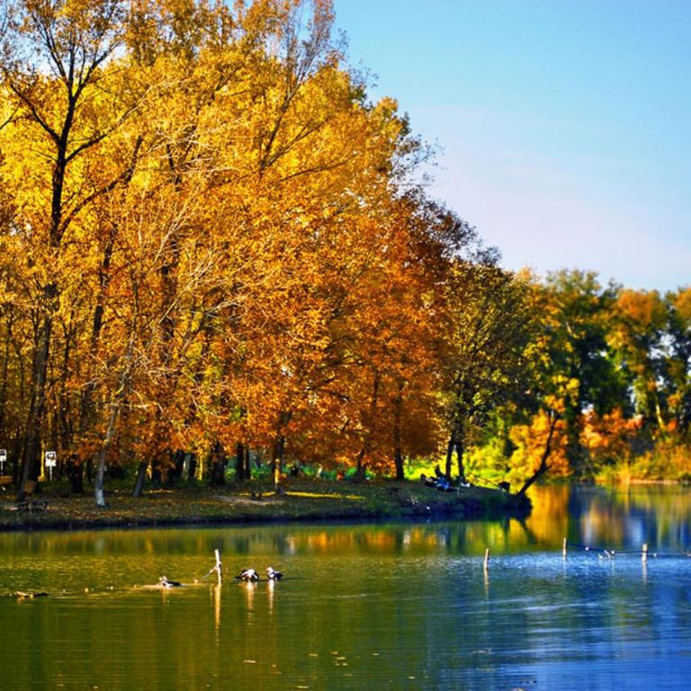 Principessa Apartment - Apartman sa Terasom - 28