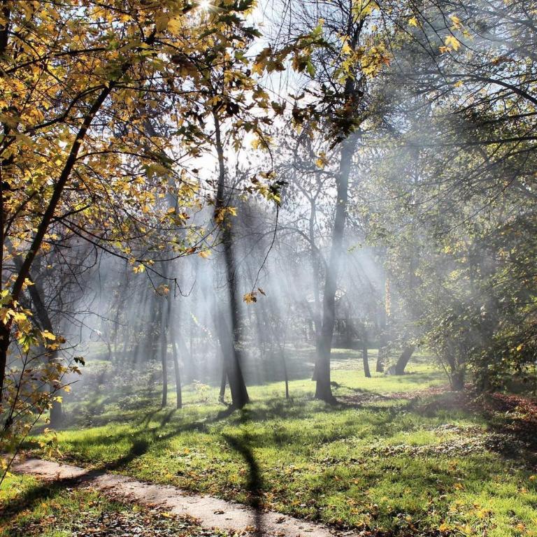 Principessa Apartment - Apartman sa Terasom - 30