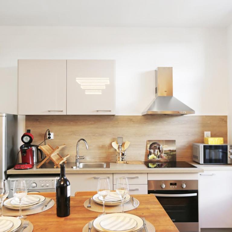 Splendid apart in the heart of Nice - Appartement - 14