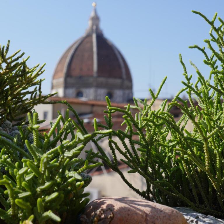 Green terrace on the roofs - Appartamento - 8