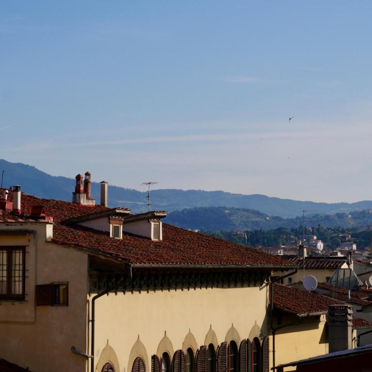 Green terrace on the roofs - Appartamento - 9