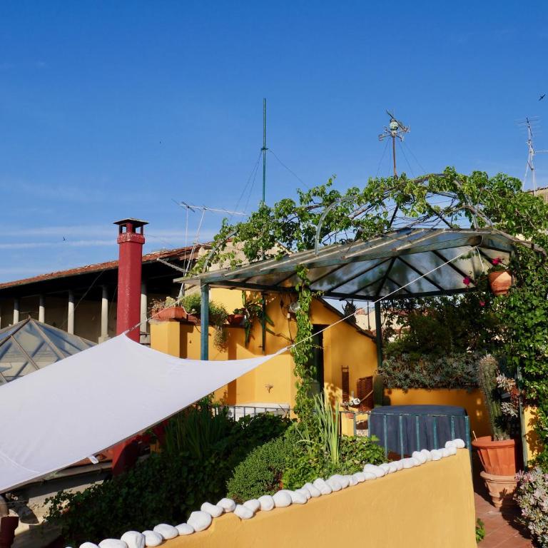 Green terrace on the roofs - Appartamento - 2