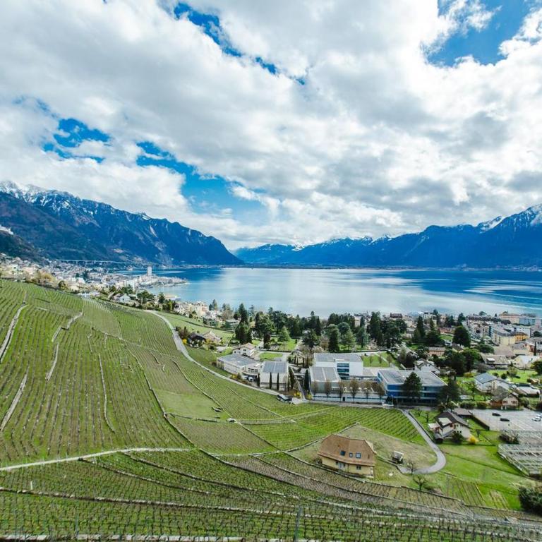 Montreux Castle - Charming Studio - Studio-Apartment - 11