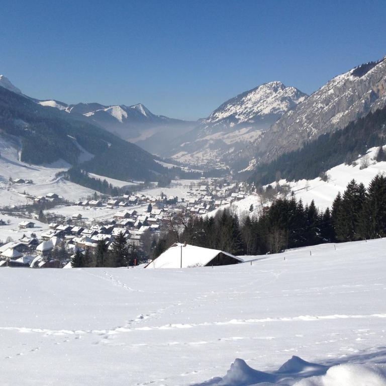 Ski La Cote - Chalet (10 Adultes) - 2