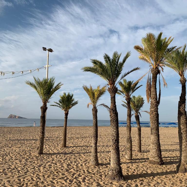 Beach Benidorm - Apartamento - 13