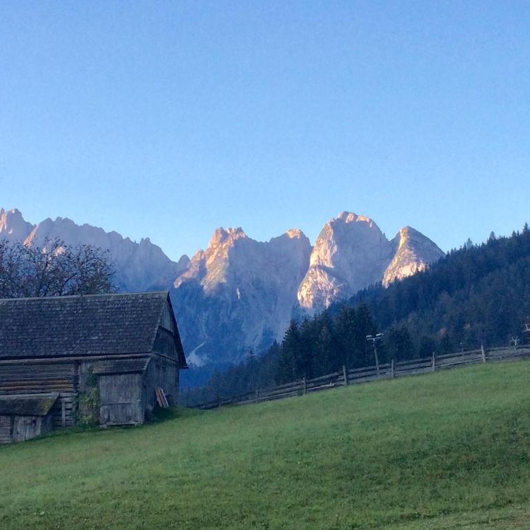 Dachstein Mountainview Gosau - Appartamento - 41