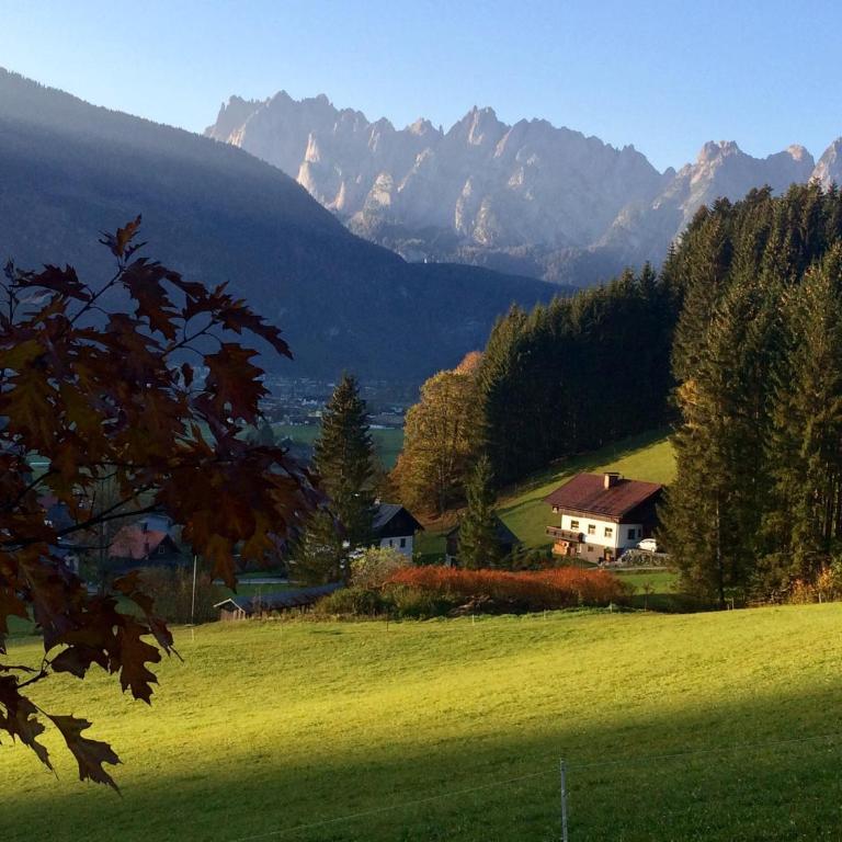Dachstein Mountainview Gosau - Appartamento - 13