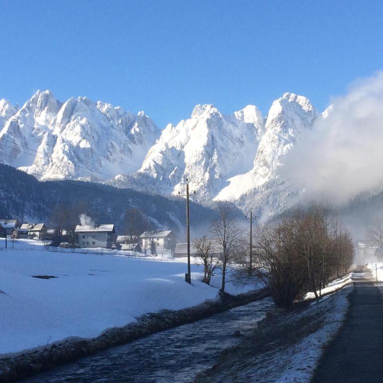 Dachstein Mountainview Gosau - Appartamento - 2