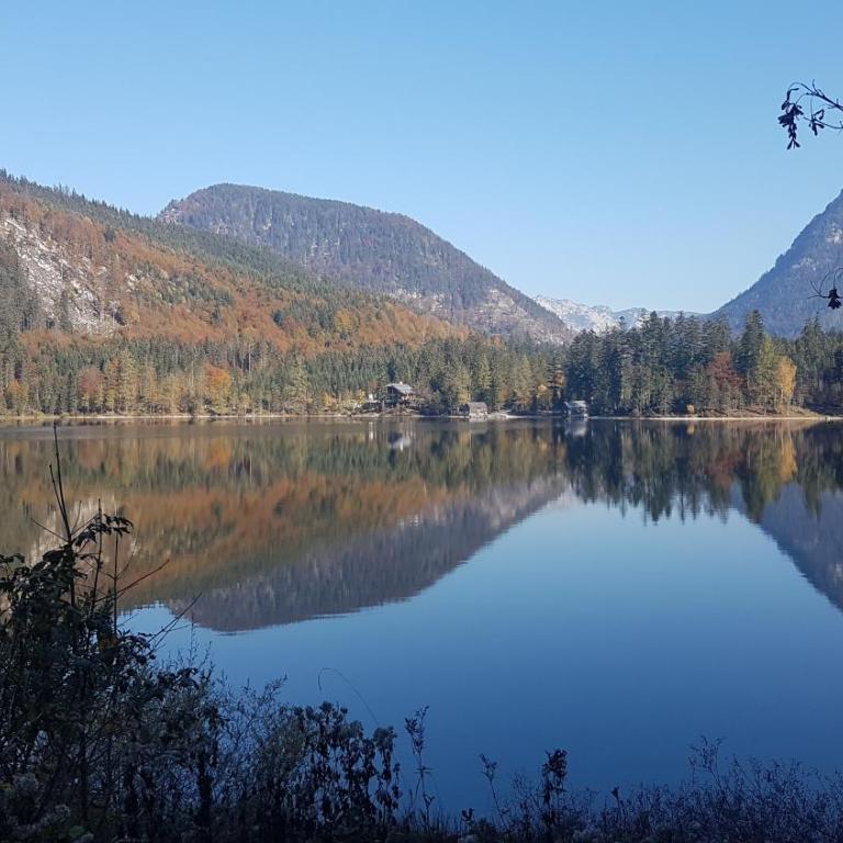 Ferienwohnung Kirchschlager Zirbenholz & ruhige Lage im Ausseerland - Apartamento de 1 dormitorio - 37