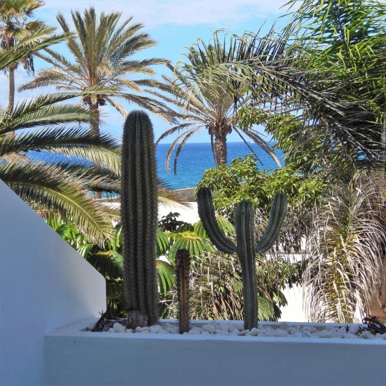 Beautiful Beachfront - Apartamento - 2 niveles - 20