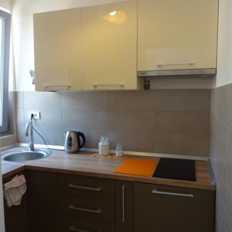 Nataliia Twister Apartment - Apartman sa Pogledom na Planinu - 17