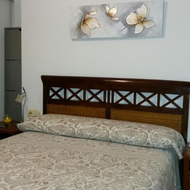 Apartamento Oasis - Apartamento - 5