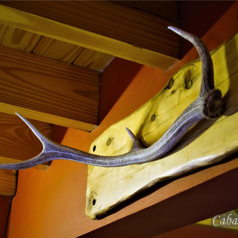 Malleo - Casa - 2