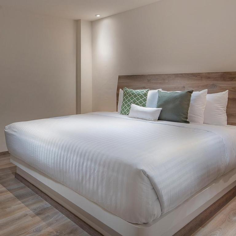 ROOM Hotel & Suites - Habitación Doble Estándar - 4