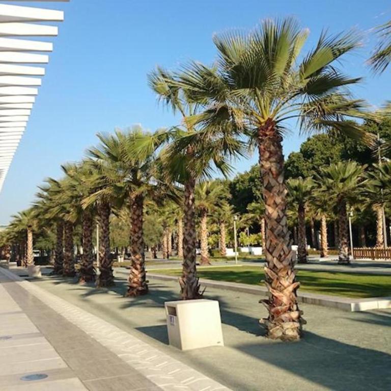 Malaga Rivas - Apartment - 7