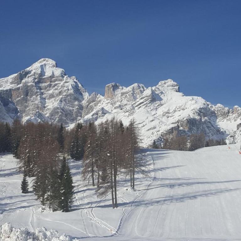 Casa Piva Dolomiti - Casa Vacanze - 13