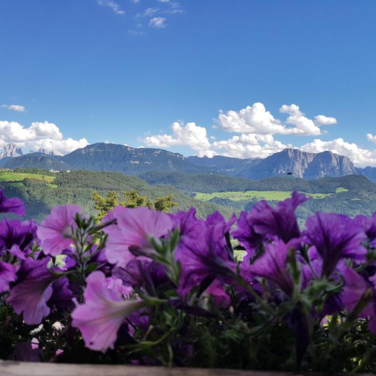 Schweiggerhof -Agriturismo- Farm Holidays - Appartamento - 8