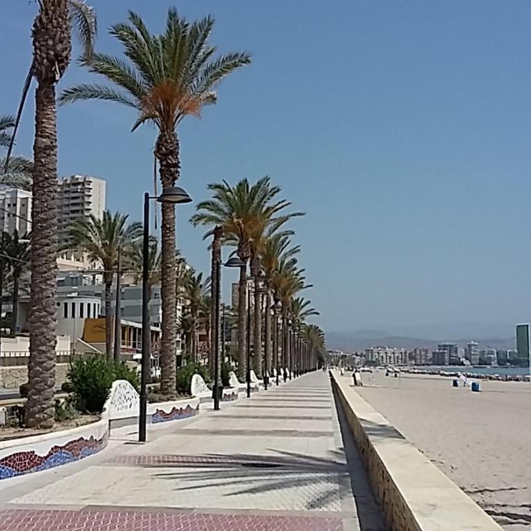 Alicante Muchavista-Sea View Pool Wifi AC - Apartment - 30