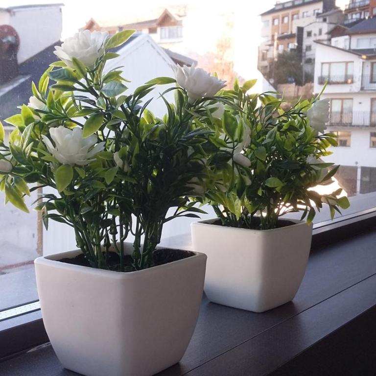 Design 440 - Apartamento con vistas al lago - 15