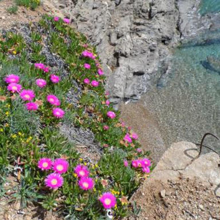 INCANTEVOLE VILLINO SUL MARE con accesso diretto alla spiaggia, posto auto e aria condizionata! - Casa Vacanze - 21