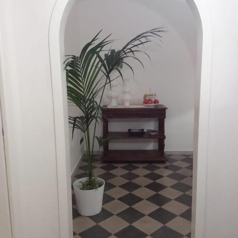 Maison Flores - Appartamento Superior - 20