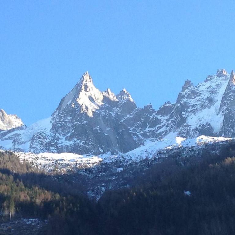 La Ginabelle Chamonix - Apartamento - 35