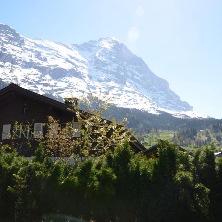 Chalet Dolphin NEW! - Chalet mit 5 Schlafzimmern - 25