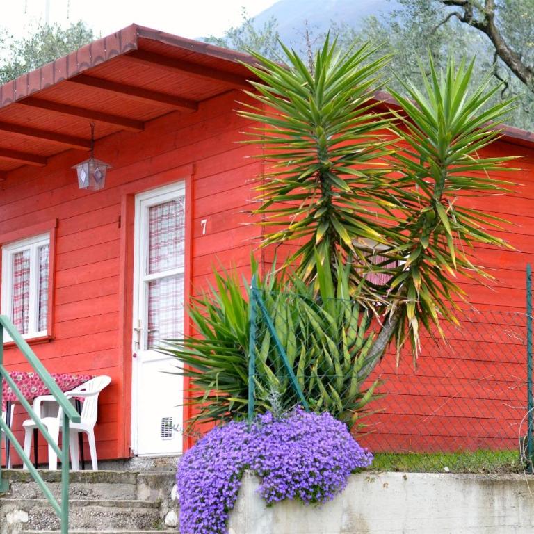 Aquacamp - One Bedroom Bungalow with Shared Bathroom - 2