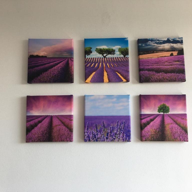 Casa Lavanda - Monolocale - 24