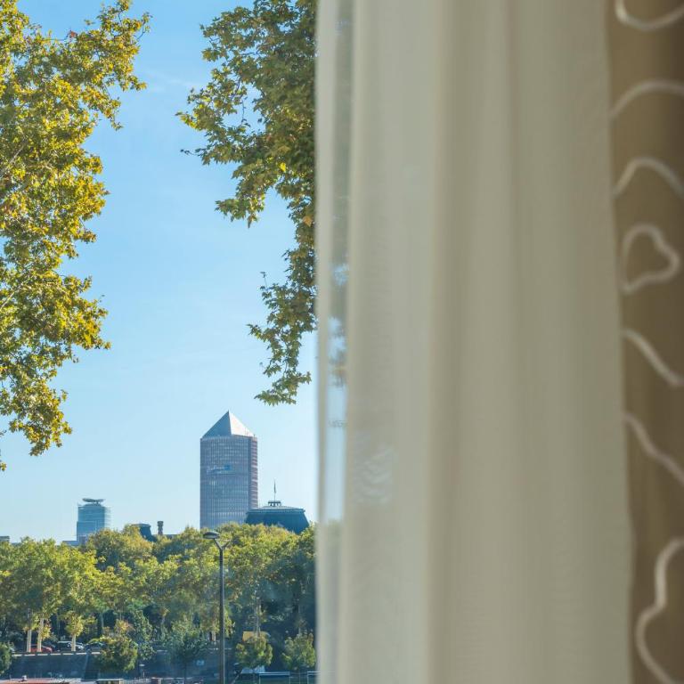 Boscolo Lyon Hotel & Spa - Chambre Double Deluxe avec Accès Gratuit au Spa - Vue sur Rivière - 9