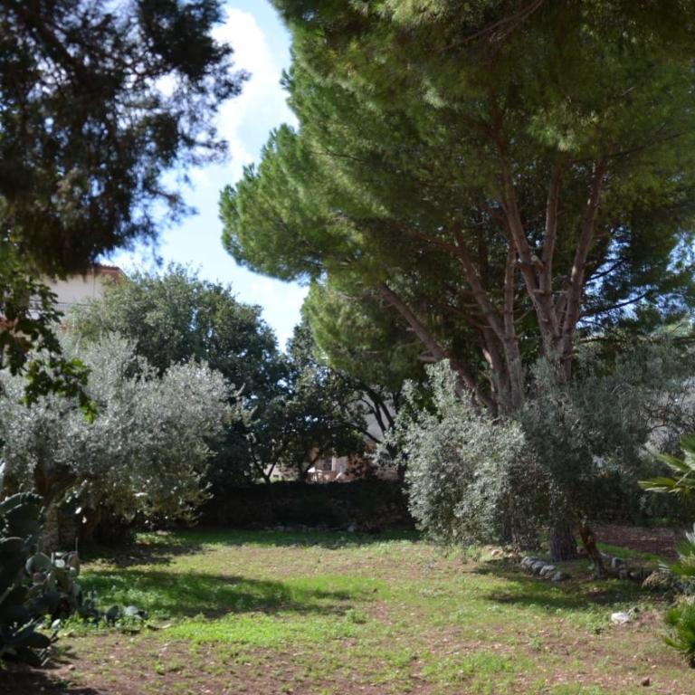 Villa Alchea Locazione Turistica - Villa - 9