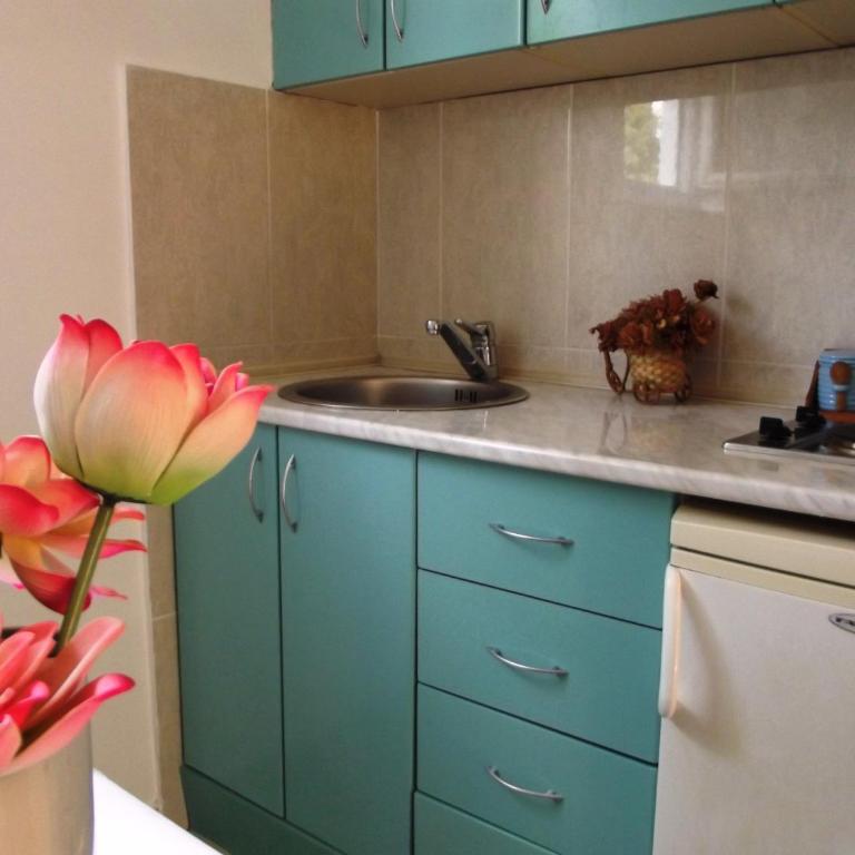 Apartments Miković - Apartman sa 1 Spavaćom Sobom - 5