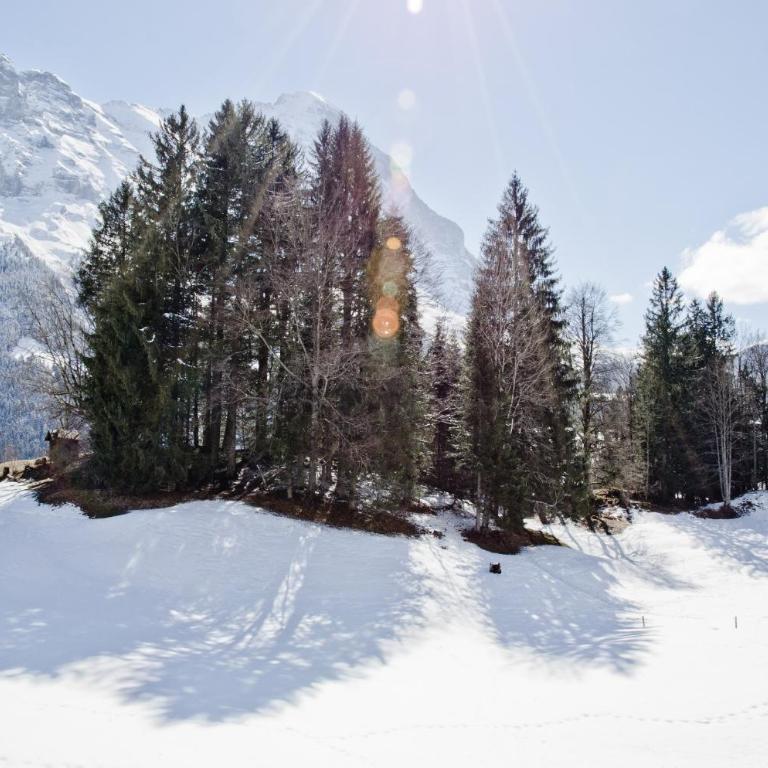 Apartment Grindelwaldgletscher - GRIWA RENT AG - Apartamento de 2 dormitorios con vistas al glaciar - 11