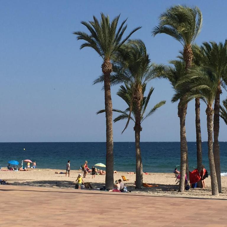 SPLENDIDE F4 ALICANTE Santa Pola - Apartamento - 7