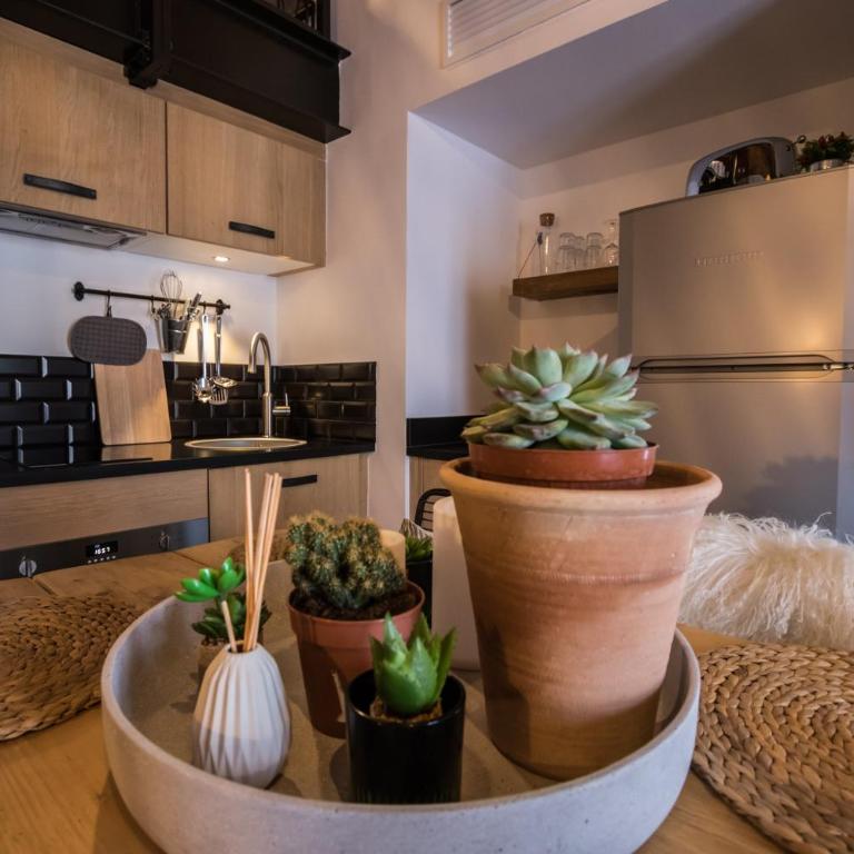 Demeure Terrisse La Résidence - Appartement Supérieur - 1