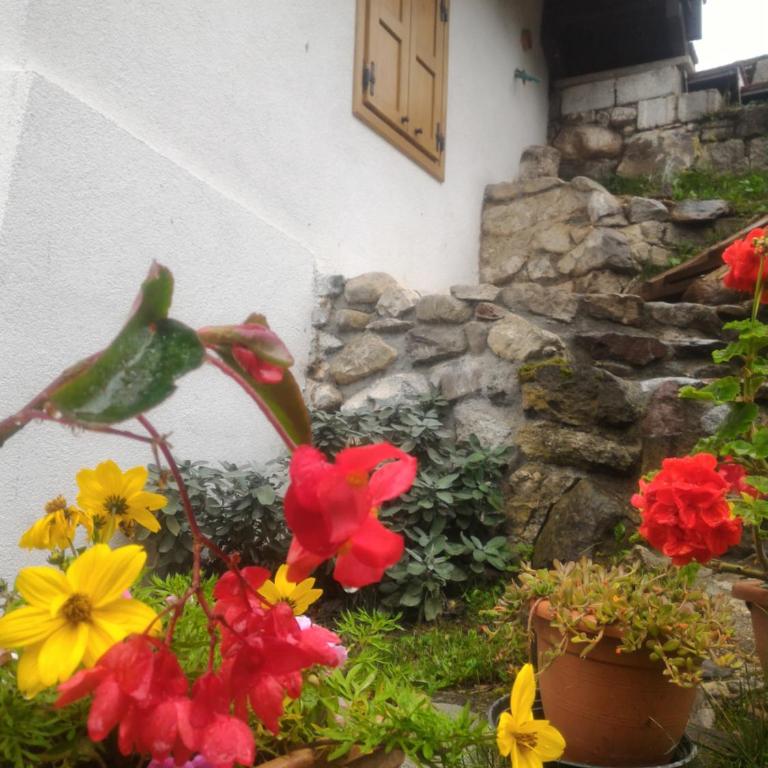 Casa Lausen - Appartamento - 49