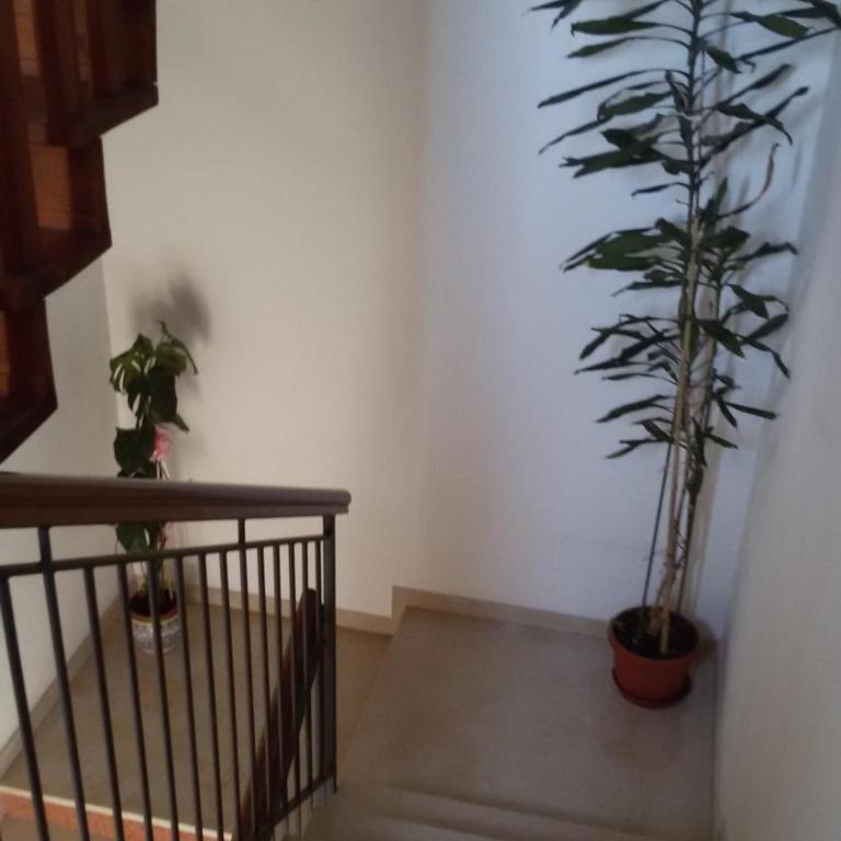 Casa per Venezia&Treviso - Apartment - 10
