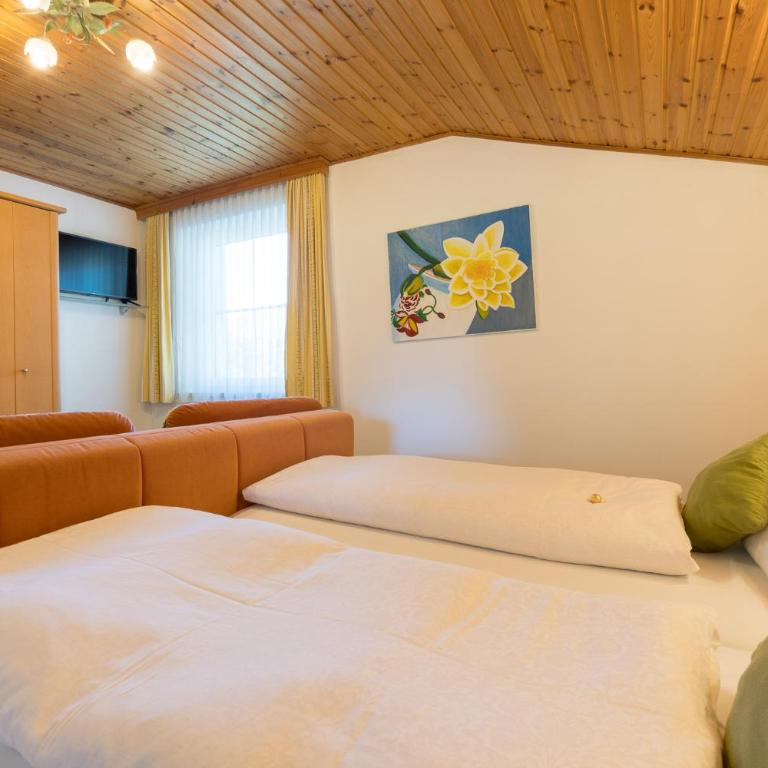 Landhaus Tripolt - Apartamento Comfort de 1 dormitorio - 3