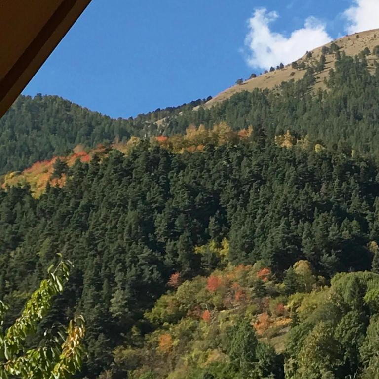 Gîte C 1.2.3 Soleil - Chalet - 8