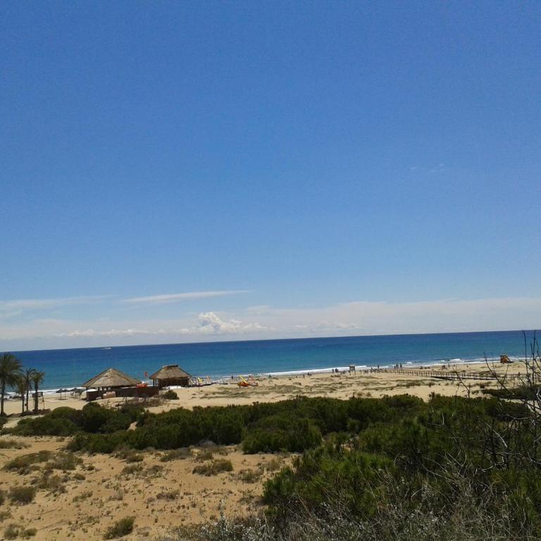 Bungalow Arenales del Sol, Alicante - Apartamento Dúplex - 14