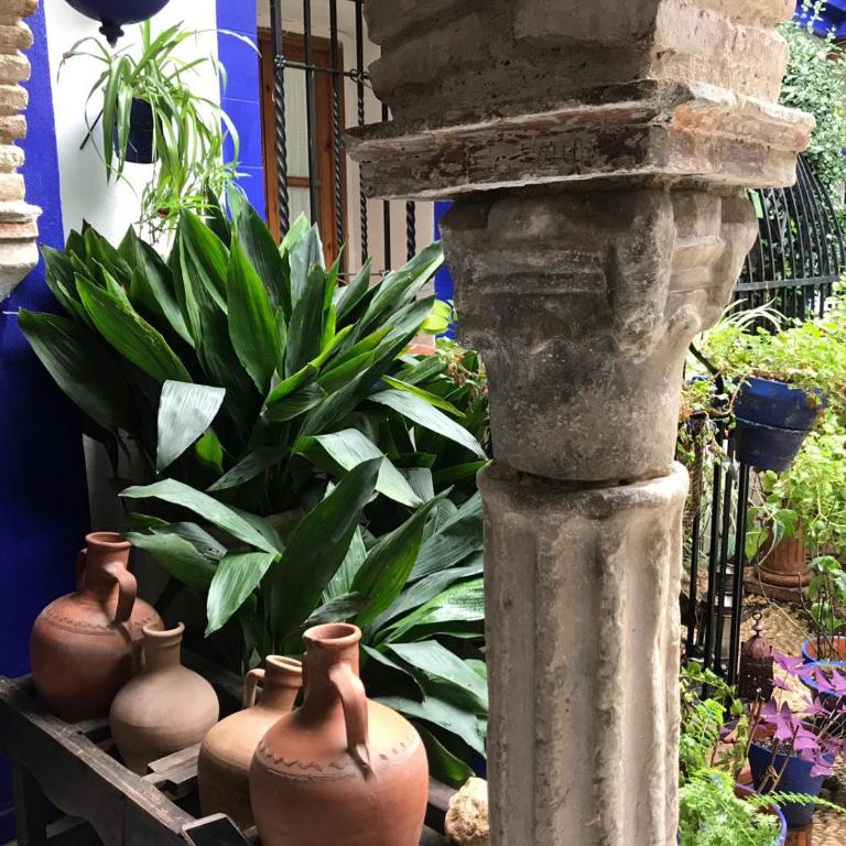 Alojamiento casa típica de Córdoba - Apartamento - Planta baja - 25