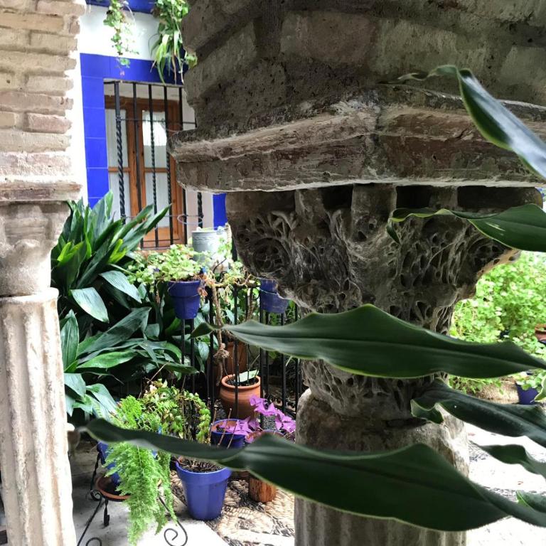 Alojamiento casa típica de Córdoba - Apartamento - Planta baja - 24