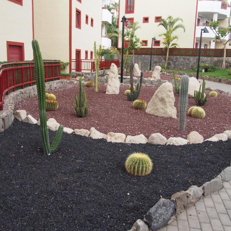 Maravilloso y tranquilo alojamiento en el Palm-Mar - Apartamento - 21