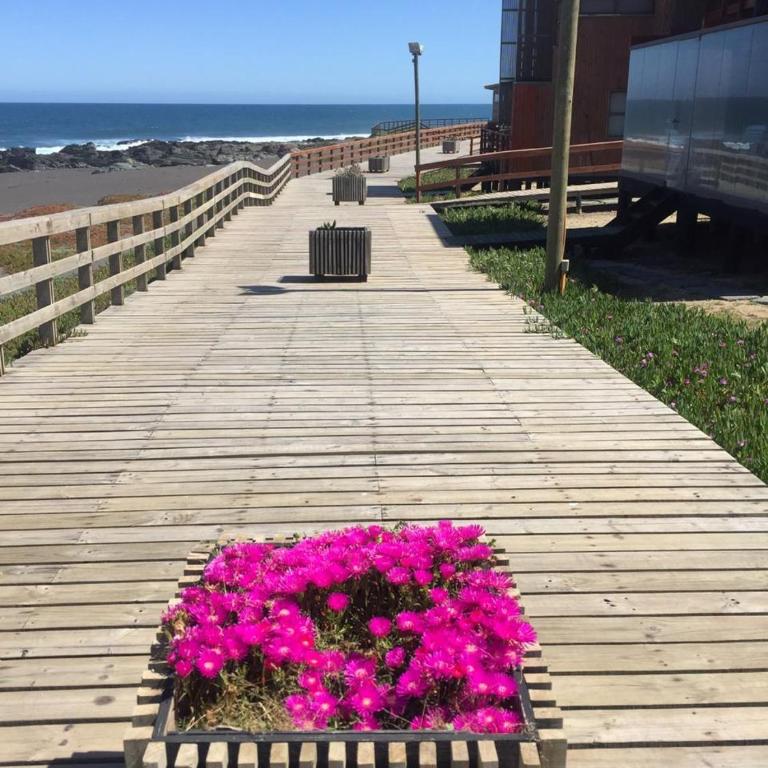 Pichilemu Loft 51 - Villa de 3 dormitorios - 24