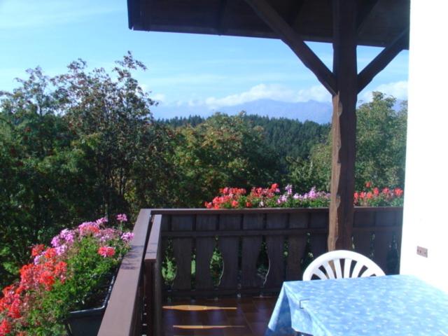 Haus Hafner - Appartamento con Balcone - 4
